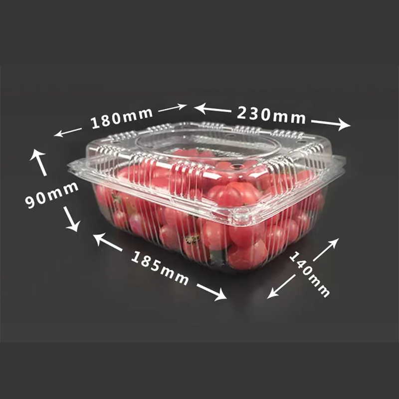 Durable and Safe PET Disposable Fruit and Vegetable Container2